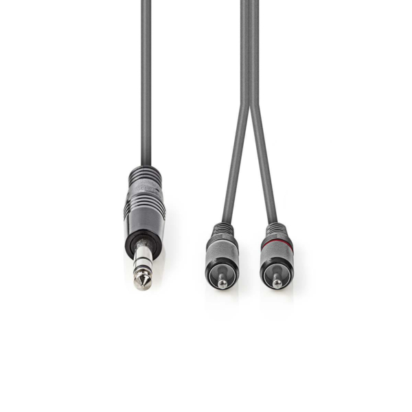 Stereo Audio Cable | 6.35 mm Male – 2x RCA Male